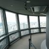 意外とおすすめ　横浜マリンタワーを紹介！